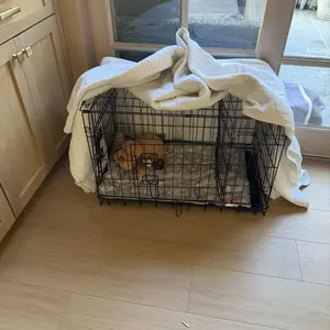 【Valentine Gift】Yaheetech 42 inch Dog Crate for Dogs with 2 Doors, Detachable Handle, Foldable Metal Wire, Waterproof & Leaky-Proof Tray, Portable Travel Cage