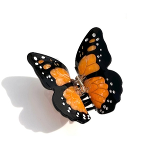 Solar Eclipse New York