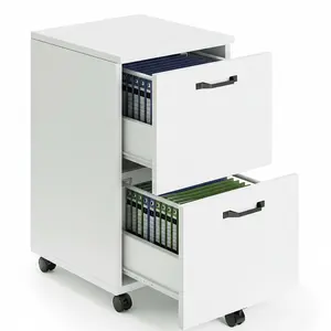 2 Drawer Rolling File Cabinet with Lockable Wheels, Mobile Printer Stand with Storage, Steel Frame, 1 Set