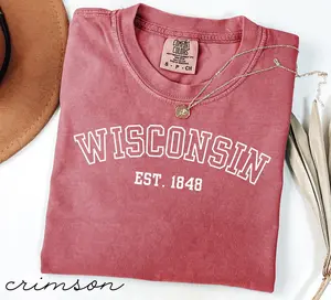 Comfort Colors® Wisconsin Shirt Wisconsin Est 1848 Shirt Wisconsin Gift Wisconsin Pride Shirt College Shirt University Shirt School Shirt