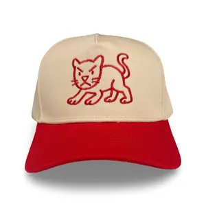 The Doodle Big Cat