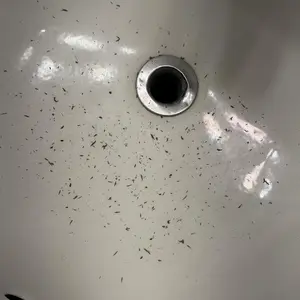 Product Review of [Dr.Melaxin Official] Peel Shot Glow Rice Ampoule Duo - Serums for Brightening, Exfoliating, and Moisturizing - Suitable for All Skin Types from Q**🏽 N**