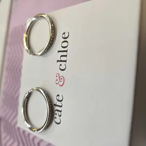 Product Review of Cate & Chloe Bianca 18k White Gold Plated 25mm Hoop Earrings for Women – 34 Simulated Diamond Crystal Hoops – Hypoallergenic, Lead & Nickel Free Lightweight Earrings with Secure Latch Back – Premium Gift Box Included, American Owned Brand from c**2