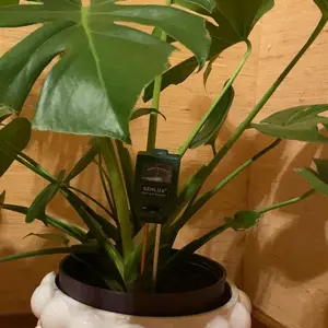 3-in-1 Soil Gardening Tool – Portable Moisture, Light & pH Meter for Home Plant Care, Indoor/Outdoor Use in Garden, Lawn or Farm, 11.4in, Green