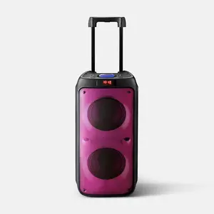 Bluetooth Party Speaker with Handle and Rolling Wheels Large (No Mic) - heyday: Portable, Rechargeable, IPX4, Black