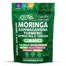 Clean Nutra Moringa, Ashwagandha, Turmeric, Spirulina & Ginger for Plant-Based Energy, Skin & Immune Support - MorinGlow