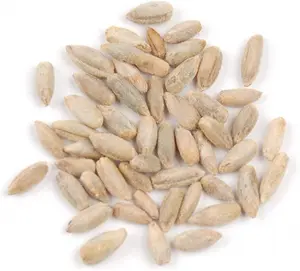Winter Rye Grass Seed (5 Pounds) - Cover Crop, Food Plot
