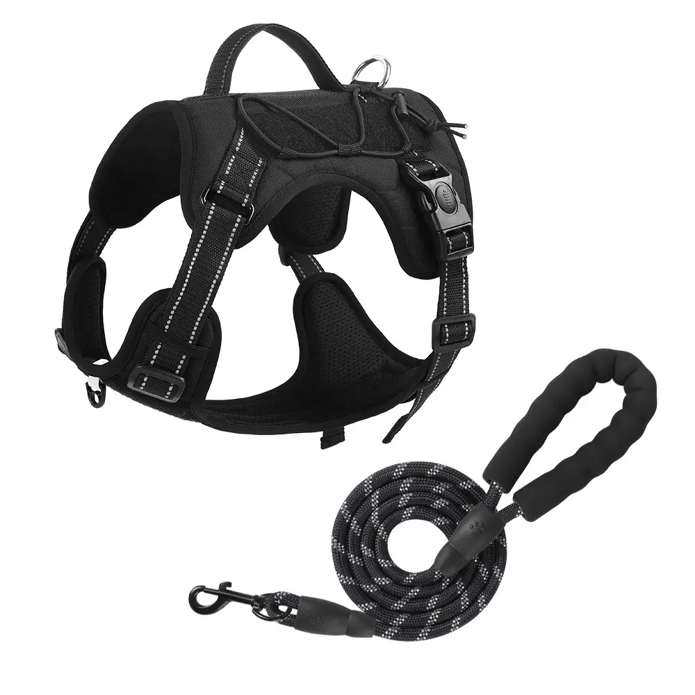 Black + Black Leash