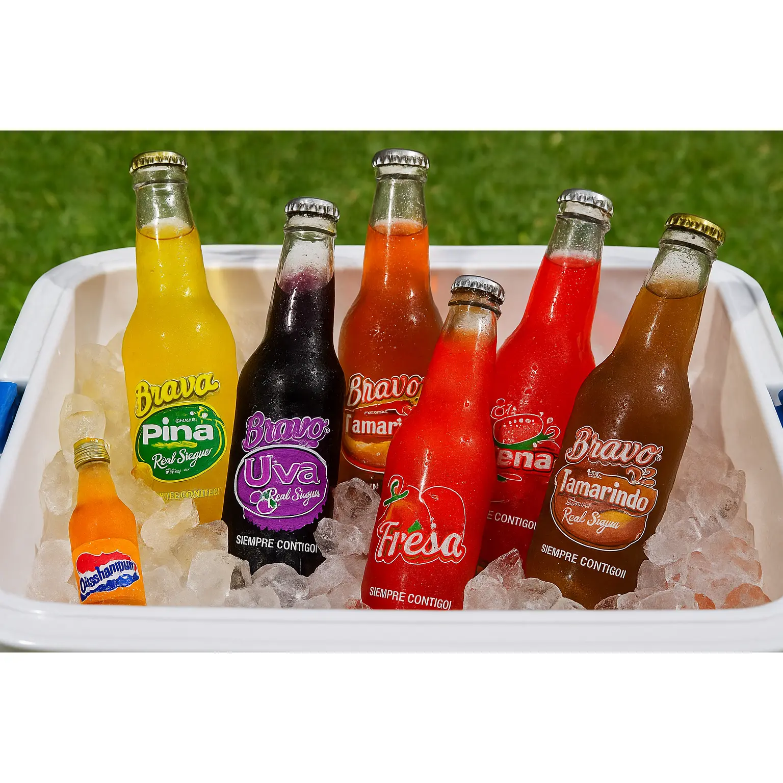Six Pack Variado Bravo Foods – 6 Sabores de Bebidas Embotelladas