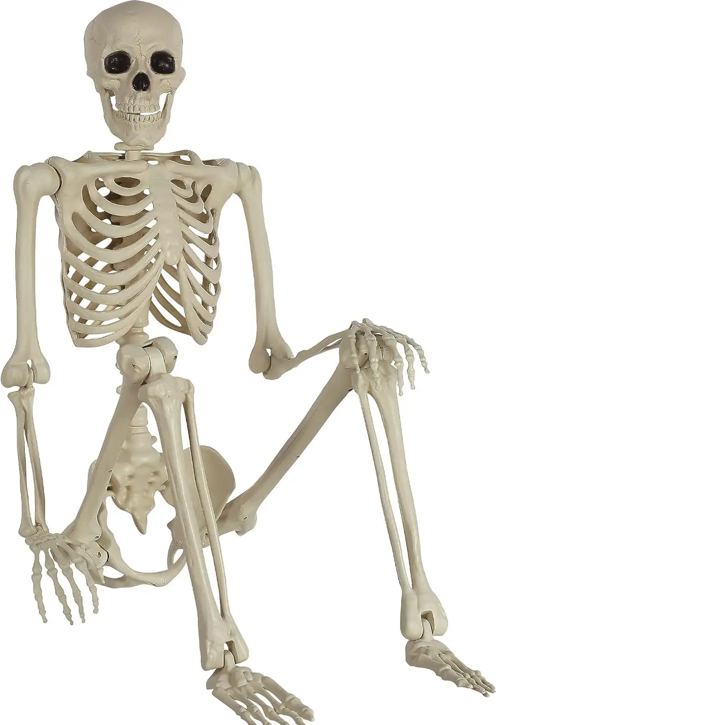 5.4Ft Posable Life Size Human Adult Skeletons Plastic Human Bones with Movable Joints for Halloween Decoration