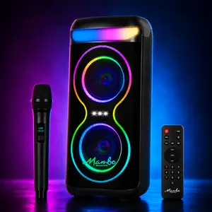 Large Wireless Audio Speaker with Subwoofer Audio compatible with Smartphone MAMBO 027