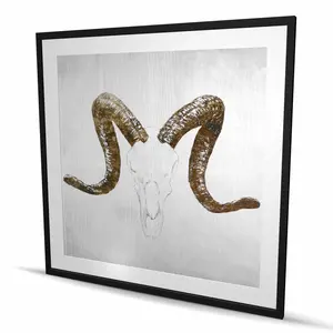 Begin Home Decor C1FM484804TI0H 48 x 48 in. Aeries Skull with Brown Horns - Beige Framed Matted Print Wall Art