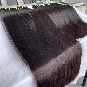 3 Double Drawn Vietnamese Virgin Human Hair Bone Straight