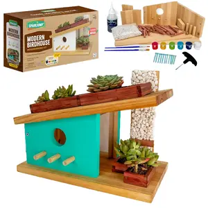 Modern Birdhouse Woodworking Kit