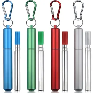 Cruise Ship Essentials,4-Pack  Collapsible Stainless Steel Drinking Straws with  Case,Cleaning Brush,and Keychains-,Blue,Red,Green