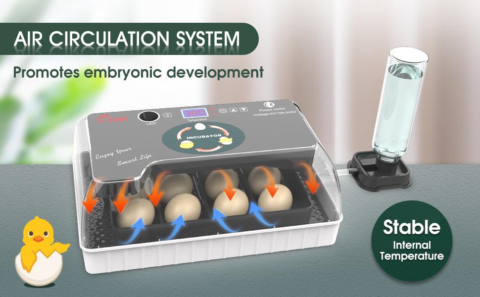 Egg Incubator for Hatching Chicks, Automatic Egg Turner Holds 12 Eggs