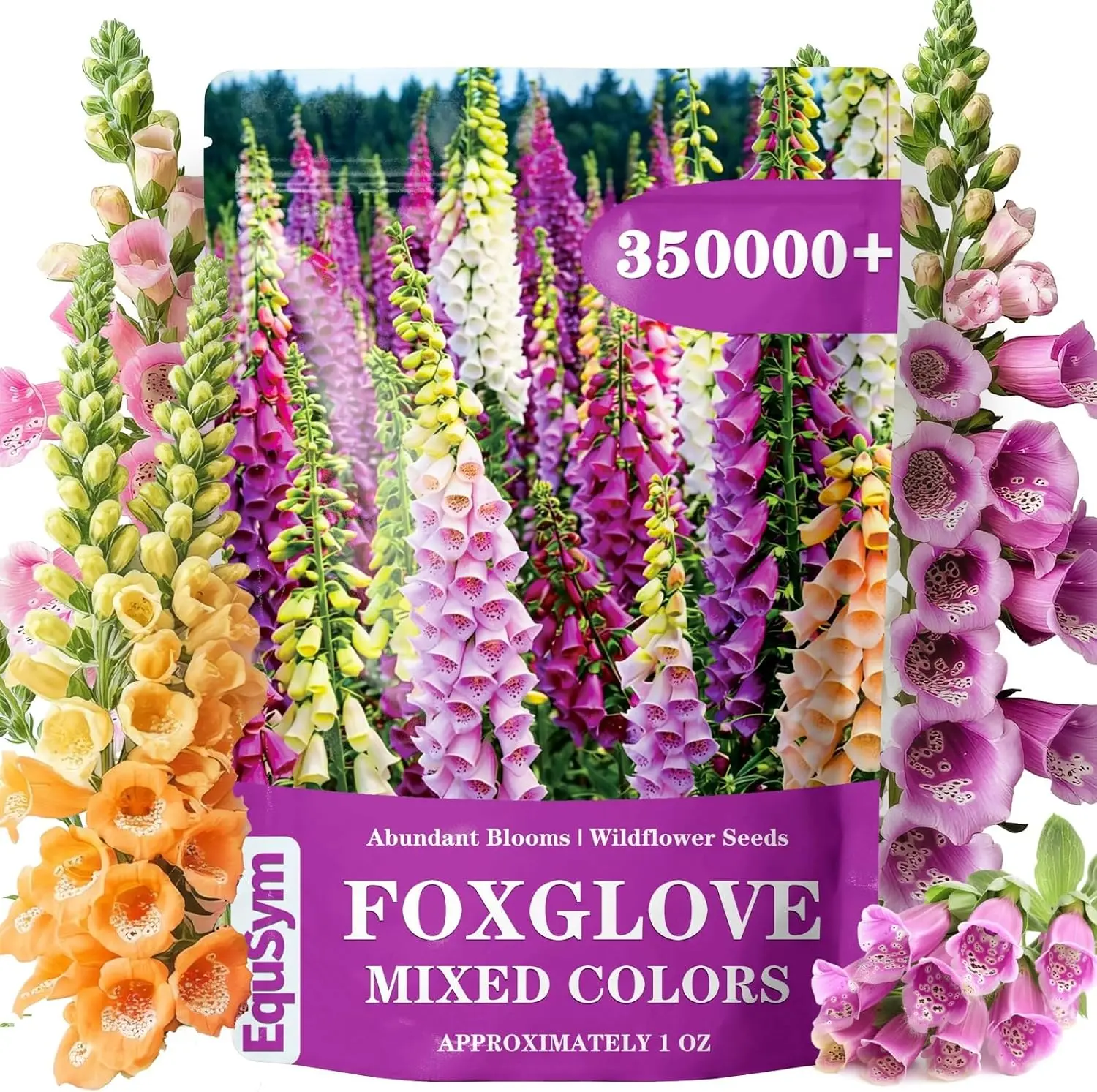 350,000+ Common Foxglove Seeds for Planting, Digitalis purpurea Flower Seeds, Tall Ornamental Cottage Garden Flowers for Pollinator Gardens, Beds & Borders