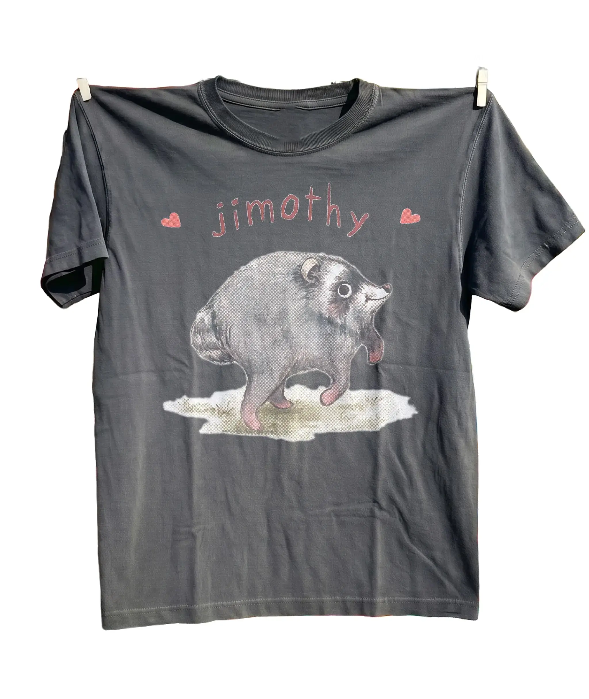 Youth & Adult Jimothy Raccoon Ivory Comfort Colors Shirt, Viral Seattle Raccoon Tee, Short Spine Syndrome Raccoon Apparel