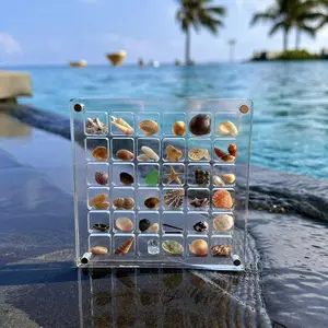 Spot wholesale shell storage box acrylic square transparent seaside specimen display shell storage frame
