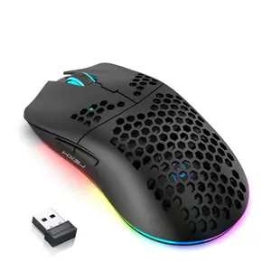 Wireless Gaming Mouse, Rechargeable Ergonomic Design Mouse with RGB Light, Gaming Accessories for Laptop & Desktop