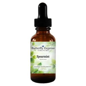 Spearmint Tincture Wholesale  <h6>Mentha spicata</h6>