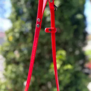 The Echo- Slip/Clasp Hybrid