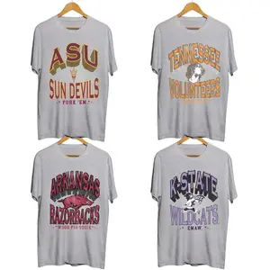 Retro College Graphic Tee | Vintage Varsity Ash Grey T-Shirt | Classic Campus Style Shirt | Custom Your Team - PTS