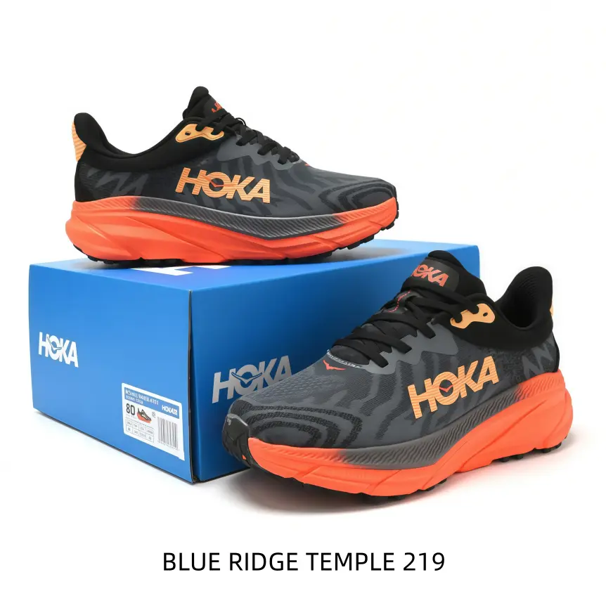 Gradient Colored Sports Collectibles Running Shoes - Shock-Absorption Midsole, Stable Footwear Support for Long-Distance Running, Outdoor Physical Training