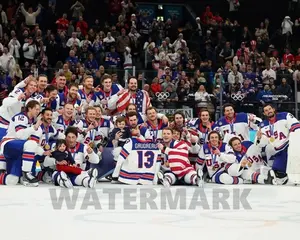 2026 USA HOCKEY TEAM Photo Gold Medal Print Milano Cortina Poster