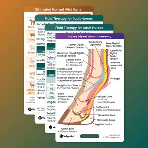 Large Animal Bundle Large Animal Bundle