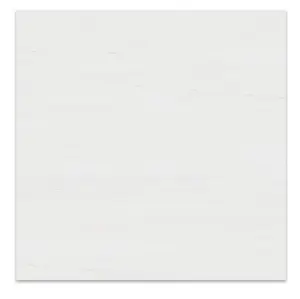 Bianco Dolomite Tile 24x24