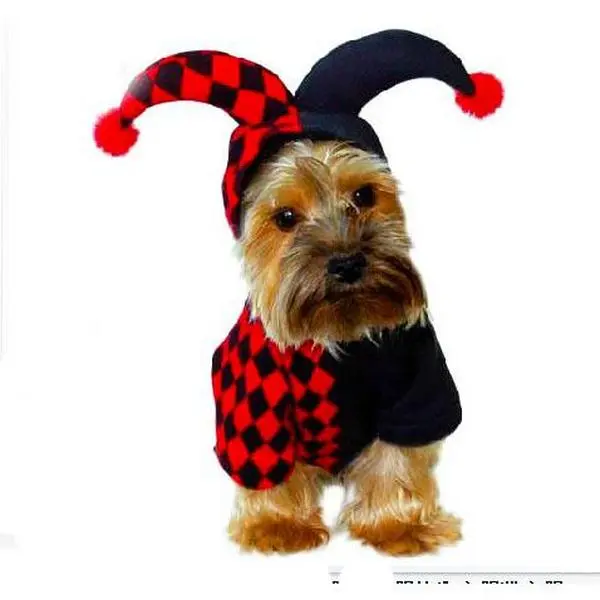 Classic Halloween Hooded Soft Cotton Jester Pet Costume - Multi-Size Outfits for Dogs & Cats, Including Size L, Jester Costume