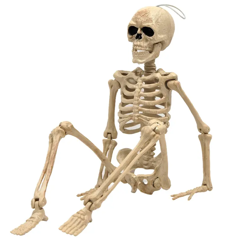 16" Halloween Skeleton,Full Body Skeleton with Posable Movable Joints for Haunted House Props Decorations