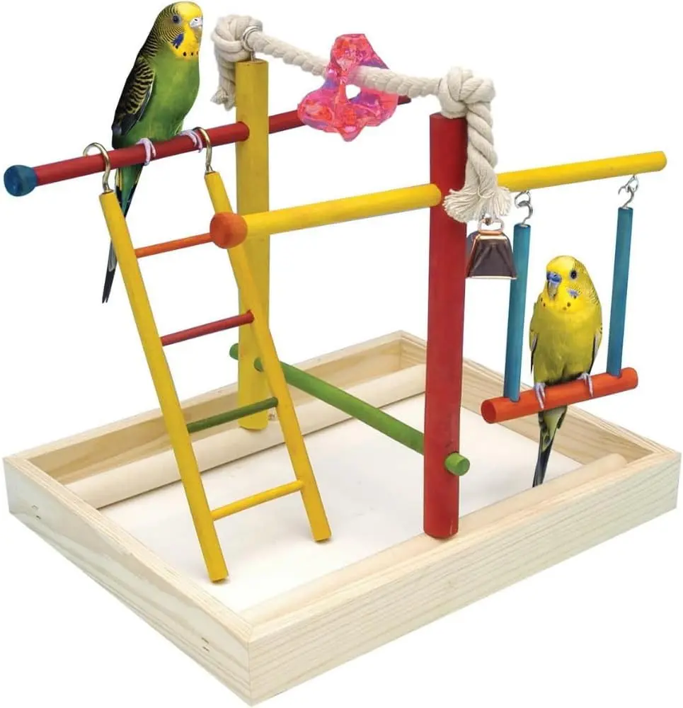 Bird Life Wooden Playpen - Medium, with 4-Step Ladder, Acrylic Toy, Multicolor Safe Copper Bell - Cotton Exercise Option for Small Parrots (Parakeets, Lovebirds) [Large Size Available], Colorful And Safe, Green Cheek Conures