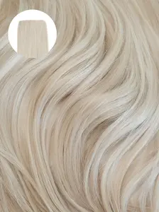 Ash Blonde (60C) Invisible Clip-ins