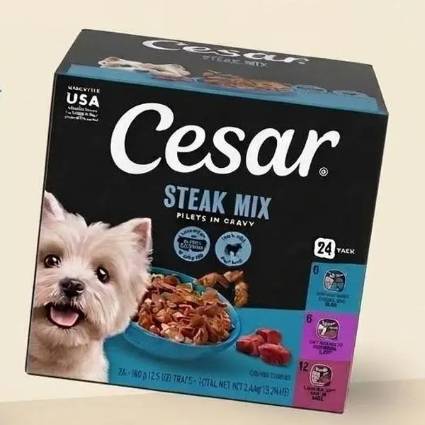 Cesar Filets In Gravy Variety Flavors Wet Dog Food Adult 3.5 oz Easy Peel Trays 24 Pack Daily Nutrition For All Dogs