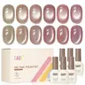 GAOY Icy Glass Cat Eye Gel Nail Polish 6 Colors, Moonlight Veil | Sheer Nude Shades, Satin Finish with Gemstone Holography, Pink Nude for Wedding, Nail Art Designs, UV Lamp Required