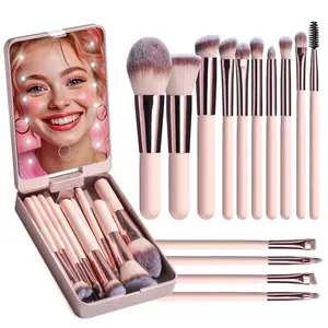 Travel Makeup Brush Set with LED Light Mirror, 14-Piece Cosmetic Brushes Kit for Foundation Concealer Eyeshadow, Perfect Gift for Women, Makeup Brushes Kits