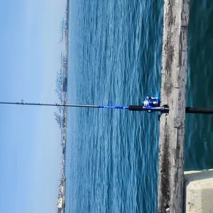 KastKing Centron Lite Casting Rod and Reel Combo, IM6 Graphite 2Pc Blanks, Stainless Steel Guides with Ceramic Rings, Contoured EVA Handles & Fighting Butt, Split or Full Rear Handle Design, 10 Models