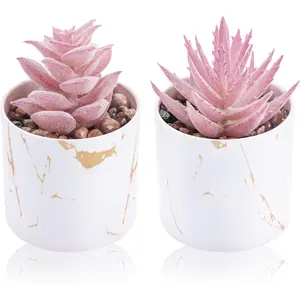 Der Rose Set of 2 Succulents Plants Artificial Mini Fake Succulents Plants for Office Desk Accessories for Women Pink Home Vanity Decor