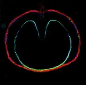 Wasp Star (Apple Venus Vol. Ii) - Xtc - CD