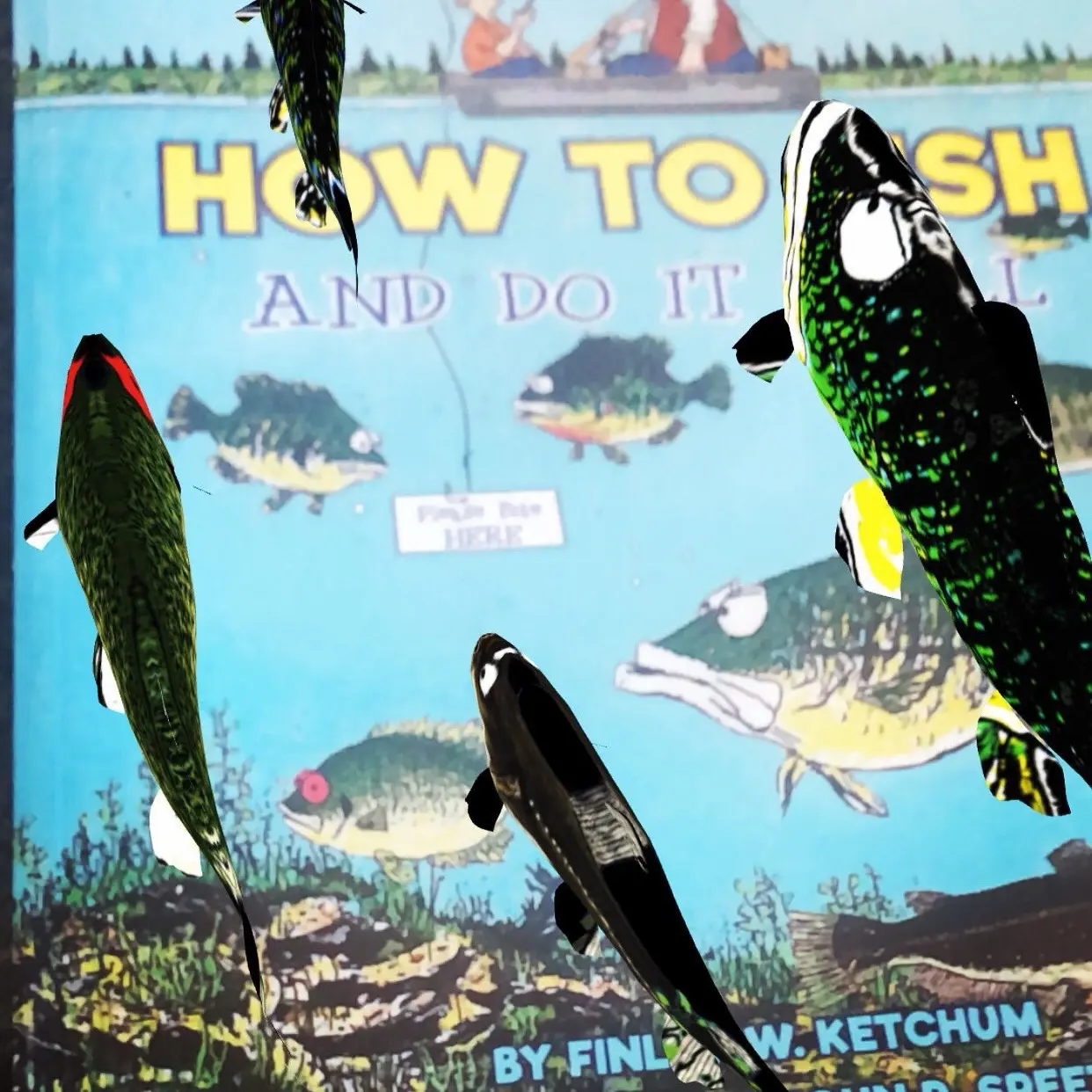 How To Fish And Do It Well