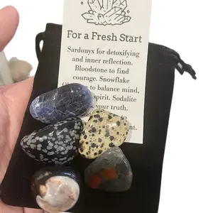 For A Fresh Start Crystal Set - Sardonyx, Bloodstone, Snowflake Obsidian, Sodalite, Dalmatian Stone