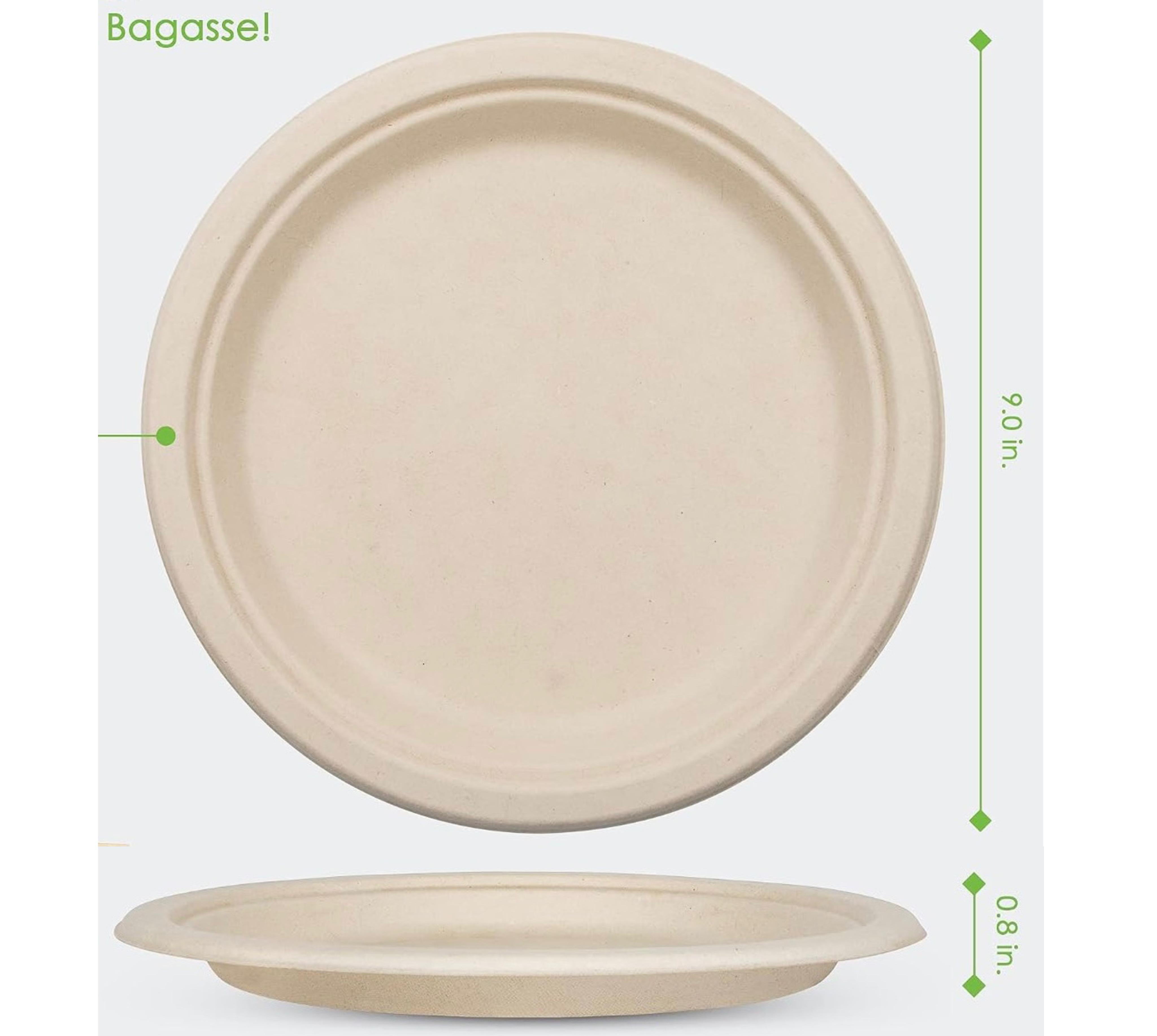 9 Inch Compostable Paper Plates 125 Pack, Disposable Sugarcane Bagasse Plates, Eco-Friendly Biodegradable Heavy Duty Plates for Party, BBQ, Picnic, Catering