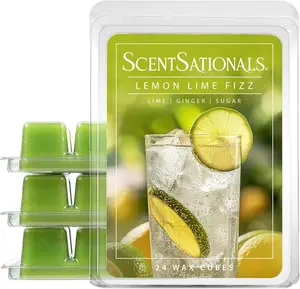Lemon Lime Fizz - Wax Melt 4pk