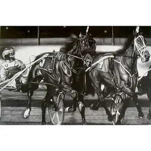 Harness Race