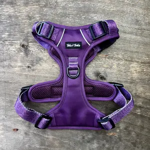 Elderberry Adventure Harness