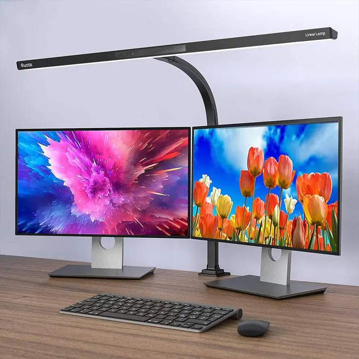 Quntis Aluminium Gooseneck Arm LED Desk Lamp, 27.5 in Minimalist Modern Design, Low Voltage Home Office Lighting for Workstation (WC207)