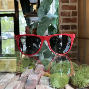 Pre-owned CELINE CL40088L Red Acetate Wayfarer Sunglasses