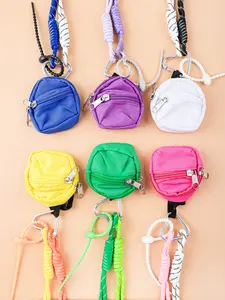 Colorful Paracord Keychain with Mini Storage Bag, Durable Carabiner Key Ring, Sturdy Nylon Rope, Solid Buckle, Keychain Wristlet Strap, Perfect for Students & Commuters, Easy Carrying